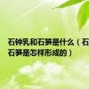 石钟乳和石笋是什么（石钟乳和石笋是怎样形成的）