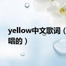 yellow中文歌词（是谁唱的）