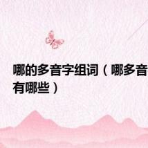 哪的多音字组词（哪多音字组词有哪些）