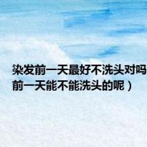 染发前一天最好不洗头对吗（染发前一天能不能洗头的呢）