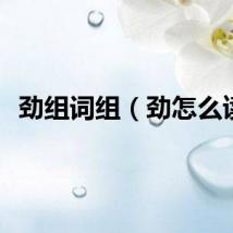 劲组词组（劲怎么读）