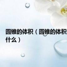 圆锥的体积(圆锥的体积公式是什么)