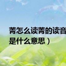 菁怎么读菁的读音（菁是什么意思）