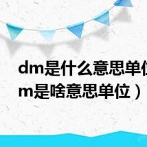 dm是什么意思单位（dm是啥意思单位）