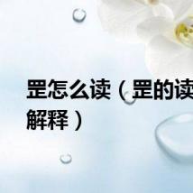 罡怎么读（罡的读音及解释）