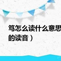 笃怎么读什么意思（笃的读音）