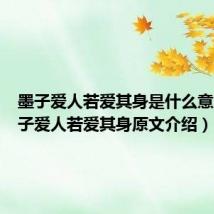 墨子爱人若爱其身是什么意思(墨子爱人若爱其身原文介绍)