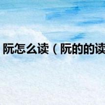 阮怎么读（阮的的读音）