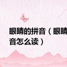 眼睛的拼音（眼睛的拼音怎么读）