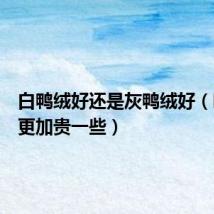 白鸭绒好还是灰鸭绒好（哪一种更加贵一些）
