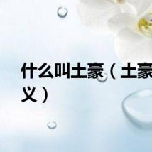 什么叫土豪（土豪的定义）