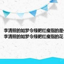 李清照的如梦令绿肥红瘦指的是什么花(李清照的如梦令绿肥红瘦指的花)