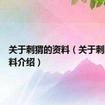 关于刺猬的资料(关于刺猬的资料介绍)