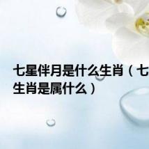 七星伴月是什么生肖(七星伴月生肖是属什么)