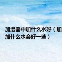 加湿器中加什么水好（加湿器中加什么水会好一些）
