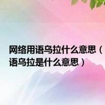 网络用语乌拉什么意思(网络用语乌拉是什么意思)