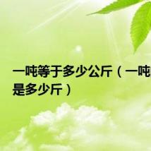 一吨等于多少公斤(一吨的重量是多少斤)