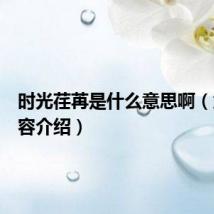 时光荏苒是什么意思啊(意思内容介绍)