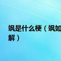 飒是什么梗（飒如何理解）