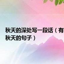 秋天的深处写一段话（有哪些写秋天的句子）
