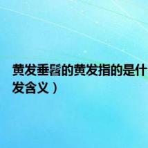 黄发垂髫的黄发指的是什么(黄发含义)