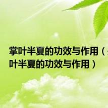 掌叶半夏的功效与作用（关于掌叶半夏的功效与作用）