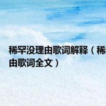 稀罕没理由歌词解释(稀罕没理由歌词全文)