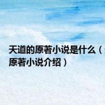 天道的原著小说是什么(天道的原著小说介绍)