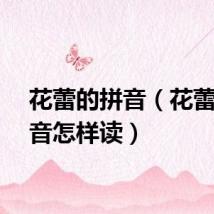 花蕾的拼音（花蕾的拼音怎样读）