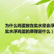 为什么鸡蛋放在盐水里会浮起来(盐水浮鸡蛋的原理是什么)