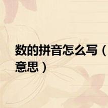 数的拼音怎么写（数的意思）