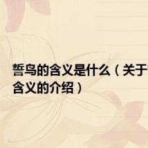誓鸟的含义是什么（关于誓鸟的含义的介绍）