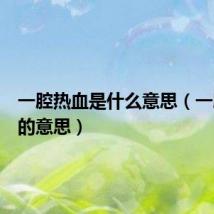 一腔热血是什么意思（一腔热血的意思）