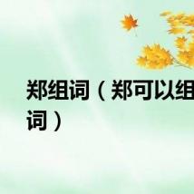 郑组词（郑可以组哪些词）