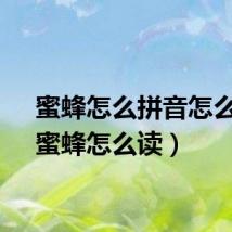 蜜蜂怎么拼音怎么写（蜜蜂怎么读）