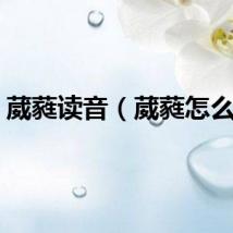 葳蕤读音（葳蕤怎么读）