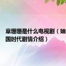章珊珊是什么电视剧(妯娌的三国时代剧情介绍)