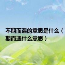 不期而遇的意思是什么（词语不期而遇什么意思）