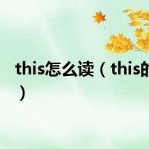 this怎么读（this的意思）