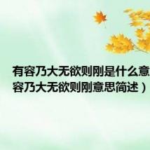 有容乃大无欲则刚是什么意思（有容乃大无欲则刚意思简述）