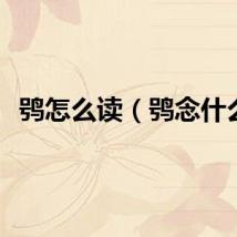 鸮怎么读（鸮念什么）
