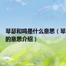 琴瑟和鸣是什么意思（琴瑟和鸣的意思介绍）