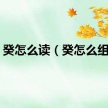 癸怎么读（癸怎么组词）