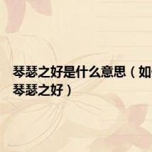 琴瑟之好是什么意思（如何理解琴瑟之好）