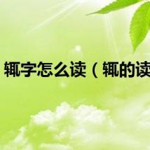 辄字怎么读（辄的读音）