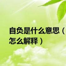 自负是什么意思（自负怎么解释）
