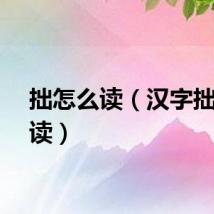 拙怎么读（汉字拙怎么读）