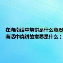 在湖南话中烧饼是什么意思（在湖南话中烧饼的意思是什么）