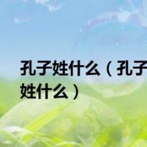 孔子姓什么（孔子到底姓什么）