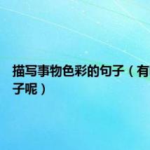 描写事物色彩的句子(有哪些句子呢)